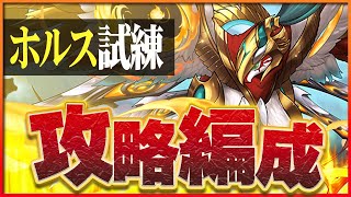 【試練ダンジョン】ホルス試練進化用編成！コラボキャラなしお手軽編成！【パズドラ】 [upl. by Sheilah692]