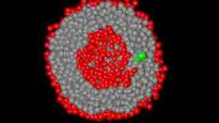 DPD simulations of liposome formation [upl. by Vizzone663]