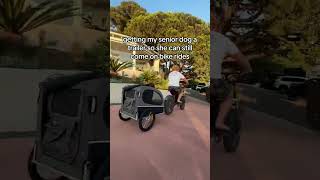 Dog Trailer for my Elderly Dog to come on bike rides dog doglover seniordog senior dog [upl. by Nnylirej619]