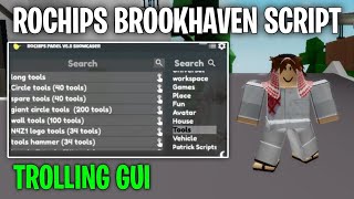 OP🔥 RoChips Brookhaven Script  Natural Disaster Survival Script  Best Trolling Gui Script [upl. by Ynnig]