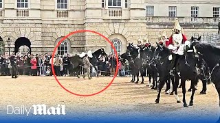 Another spooked Household Cavalry horse throws rider during military parade in London [upl. by Atsirhc902]