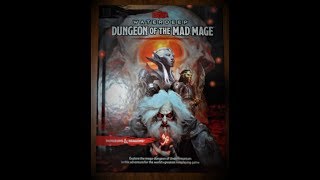 Waterdeep Dungeon of the Mad Mage  First Impressions [upl. by Yt776]