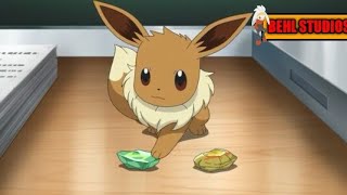 POKEMON MASTER JOURNEYS Chloes eevee cant evolve by evolution stonesENGLISH DUBBED [upl. by Pantia788]