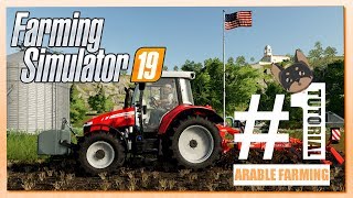 Farming Simulator 19  Arable Farming Tutorial [upl. by Borek204]