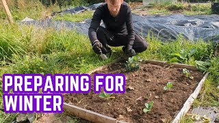 getting ready for autumnwinter in the allotment garden [upl. by Midas]