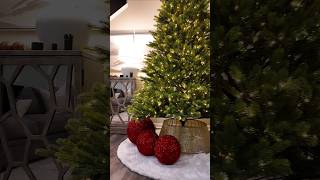 Christmas tree setup 🎄 christmas merrychristmas alliwantforchristmasisyou christmastree [upl. by Bolger]