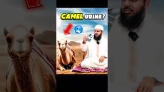 quotOH YOU DRINK CAMEL URINEquot 🍺🤯Responding to Islamophobes shorts [upl. by Corly699]