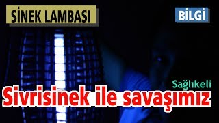 Sivrisinekleri yakalamak için en kolay yöntem  Sivri Sineklerden Nasıl Kurtulurum   Bilgi [upl. by Aloisius]