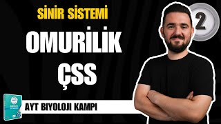 AYT Biyoloji Kampı  2 GÜN  Omurilik Çevresel Sinir Sistemi  yks2025 [upl. by O'Grady]