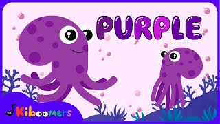 Meet the Color Purple Song  The Kiboomers Colors Songs for Preschoolers [upl. by Killen462]