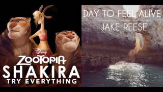 Try Everything to Feel Alive  Shakira amp Jake Reese Mashup [upl. by Jennee]