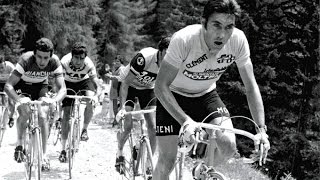 Eddy MERCKX  De Mooiste Momenten [upl. by Aalst]