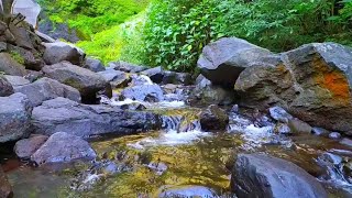 Beautiful river water flow for calmer sleep meditation yoga spaa studying [upl. by Intruoc]