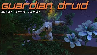 Guardian Druid Mage Tower Challenge Guide The Highlords Return [upl. by Oates494]