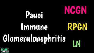 PauciImmune Necrotizing amp Crescentic Glomerulonephritis  NCGN  PauciImmune Glomerulonephritis [upl. by Ajed]