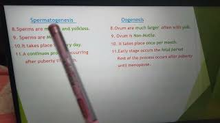 Comparison between Spermatogenesis and Oogenesis [upl. by Amory]