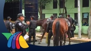 Caballos desbocados en el DF 11 autos dañados [upl. by Conn258]