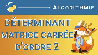 Algorithme  144 Calculer le déterminant dune matrice carrée dordre 2 Python [upl. by Novelc552]