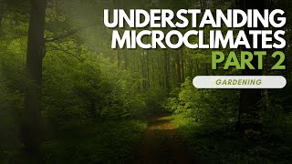 Understanding Microclimates In Your Garden PART 2 [upl. by Zulaledairam]