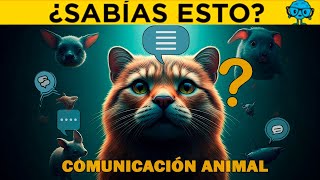 ¡Descubre los SECRETOS de la Comunicación Animal que Nadie Dijo [upl. by Blaise]