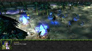 Ending The Chase  Chapter 3  Malfurions Quest Good  Warcraft 3 Custom Campaign Playthrough 05 [upl. by Dalli810]