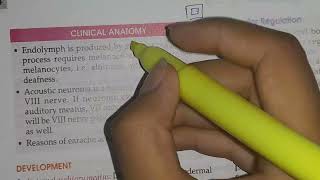 Vestibulocochlear nerve Anatomy [upl. by Avenej]