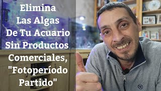 🔵 Elimina Las Algas De Tu Acuario Sin Productos Comerciales Con El Fotoperíodo Partido Acuarios MB [upl. by Yornoc537]