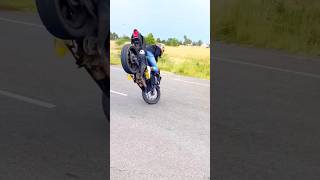 Stoppie 😱power stoppie rider stunt shorts youtubeshorts shortsviral shortvideos ytshorts [upl. by Laine880]