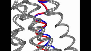 Beta adrenergic receptor  Gs complex [upl. by Naresh689]