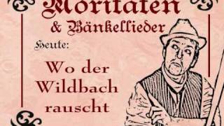 wo der Wildbach rauscht [upl. by Watters]