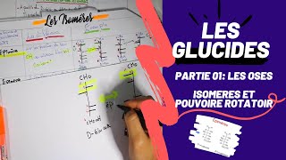 📣 Biochimie  2 LES GLUCIDES PARTIE 01  Les Oses  Les isomères 👌 SNVUSTHBBIOCHIMIEMEDECINE [upl. by Reiser]