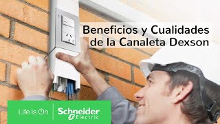 Beneficios y Cualidades de la Canaleta Dexson  Schneider Electric Latinoamérica [upl. by Wieche954]