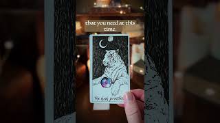 You Need To Know This Right Now 👀 tarotscope tarotreading [upl. by Ainit]