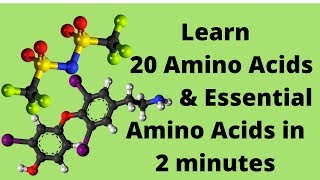 The 20 Amino Acids and Essential Amino Acids Mnemonic [upl. by Accire850]