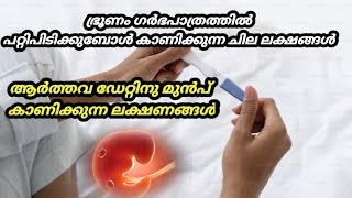 pregnancy symptoms Malayalam [upl. by Temple]