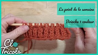 Tutoriel Tricot  Le point de la semaine  5 Brioche 1 couleur à plat et en rond [upl. by Glassman]