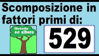 Scomposizione in fattori primi di 529 Metodo ad albero per scomporre 529 in fattori primi [upl. by Duomham]