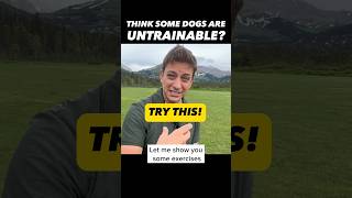 Think Some Dogs Are Untrainable Try This 🤯 dogtraining dogtrainer zakgeorge dogtraining101 [upl. by Danforth]