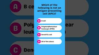 Which of the following is not an antigenpresenting cell APC [upl. by Eenar]