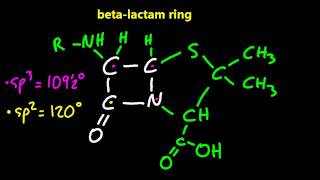 D2 Explain the importance of the betalactam ring action of penicillin SL IB Chemistry [upl. by Laemsi]