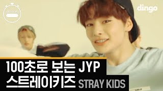 스트레이 키즈의 100초로 보는 JYP 댄스 총정리 Stray Kids 100 Sec JYP 4K고화질 댄스 [upl. by Hpejsoj]