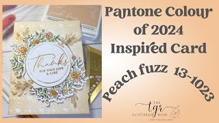 Pantone Color Of The Year Peach Fuzz Inspired Card using Pinkfresh Studio Stamps amp Inks [upl. by Haleak745]