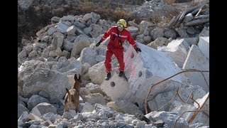 La 40ème compagnie  pompiers audelà des flammes JDEF [upl. by Ravilob]