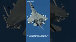 The Chinese J  16 fighter jets quotbeast  likequot weapon load  out中国J16战斗机野兽挂载 anime automobile [upl. by Enived]