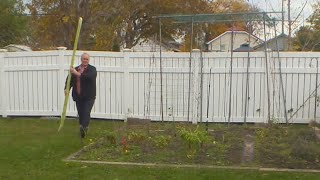 Thorold man hopes to ‘squash’ world record for largest zucchini [upl. by Emanuel]