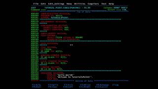 COBOL  Program Structure [upl. by Eldon]