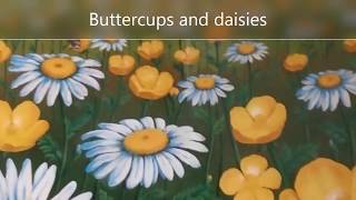 Buttercups and Daisies [upl. by Ettesus]