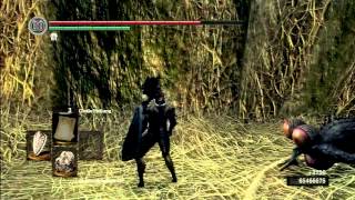 Dark Souls Fundort hinrück Weg durch die grosse Leere [upl. by Schnapp166]