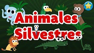 Animales Silvestres  Videos Aprende [upl. by Anahsirk]