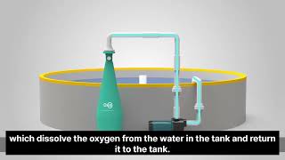 OXUS Oxygen Supply System for Aquaculture [upl. by Gillie330]